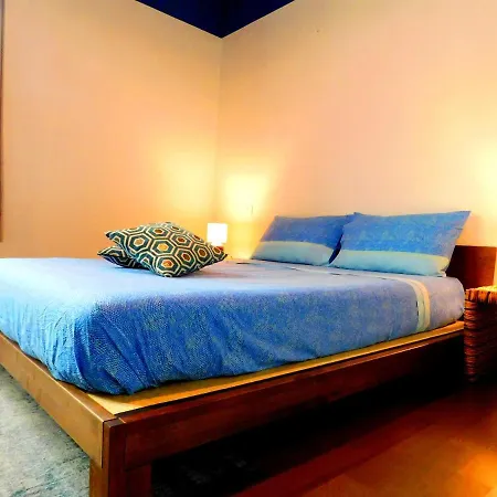 Center Aldrovandi Flat Apartment *